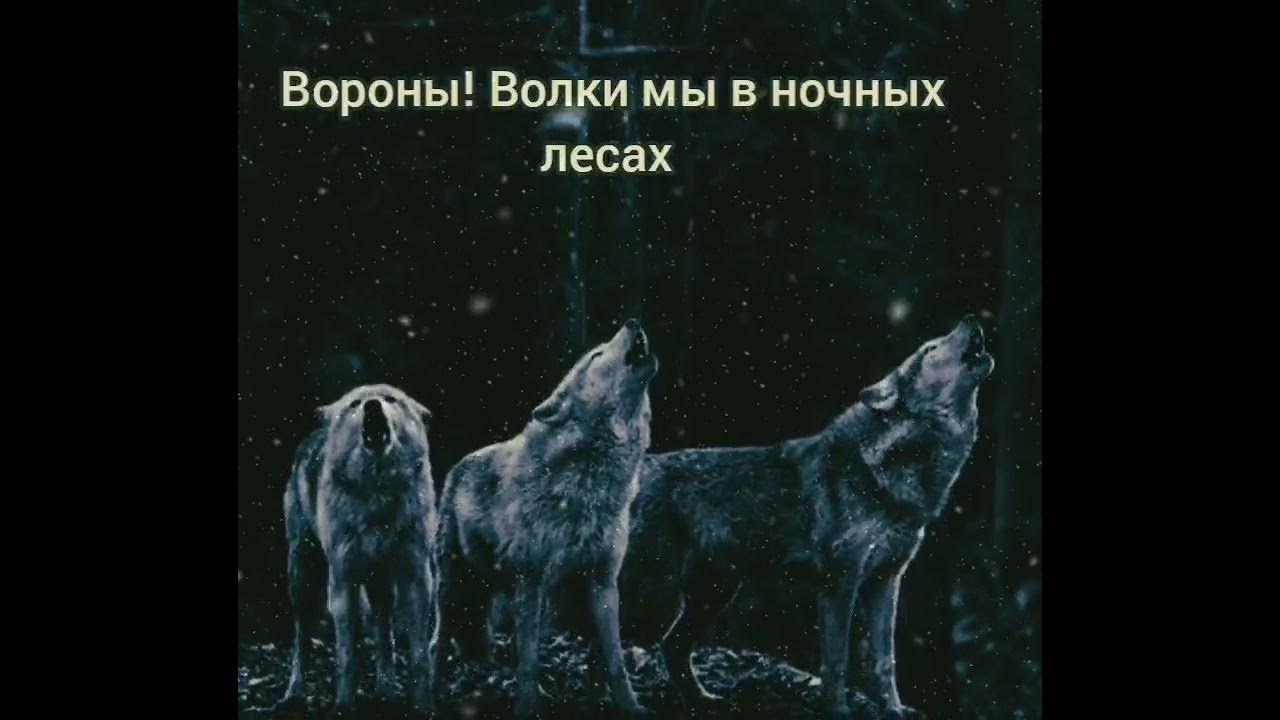 Добрый волки песню. Волки мы в ночных лесах. Волки в ночных лесах нагоняем.