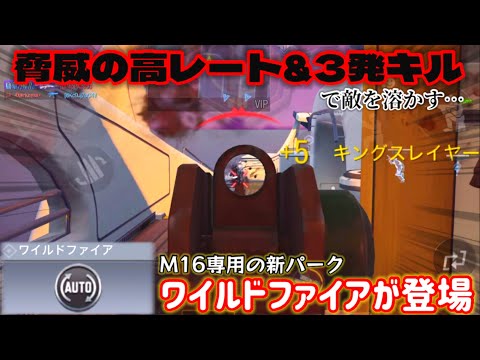 【CODモバイル】またもやM16が強化！！専用新パーク「ワイルドファイア」で敵が溶けていくんだが…これは環境武器入りか！？