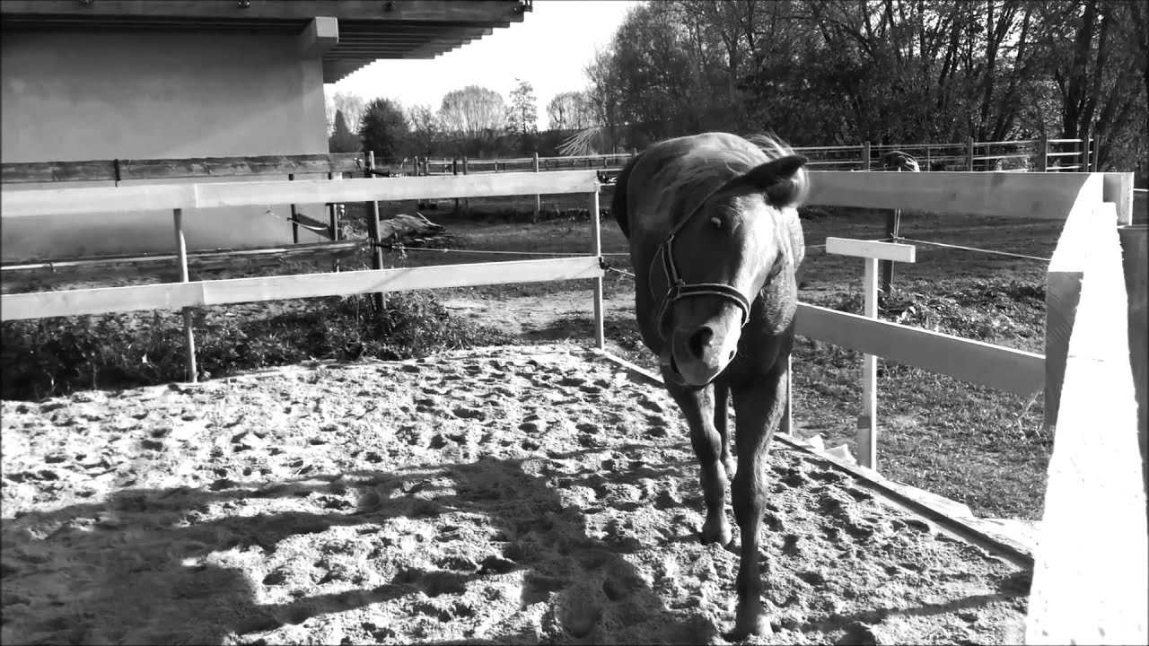 Pauls Jupiter Doc YouTube