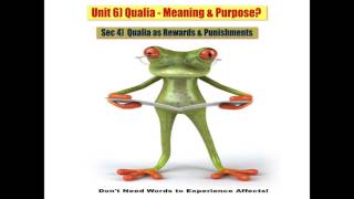 Sec 4 Qualia as Rewards & Punishments