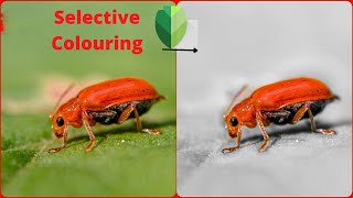 Selective Coloring in Snapseed । Color Splash Effect in Snapseed । 60 Second Tutorials #shorts