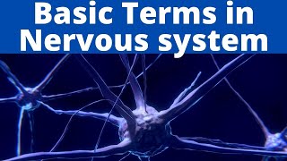 Medical terms in neurology and nervous system | Medical Terminology | Anatomy and Anatomical Terms|