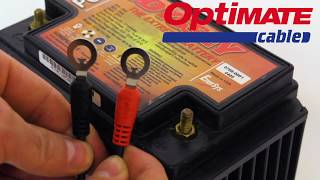 OptiMate Cable (EN): O-01 - Permanent Battery lead M6 / 1/4″ – M8 / 5/16” rings Net Worth