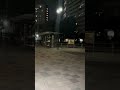 川口芝園団地の夜間の公園の様子、、、、。(子どもはすべて外国人)