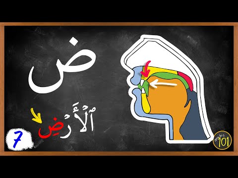 فيديو: ما هو dasd في المركزية؟