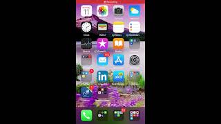 WIOA Program Registration - iPhone Users