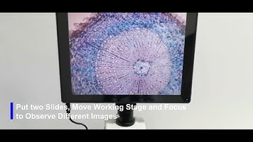 A33.1502 9.7" LCD Touch Screen Digital Microscope, 5.0M, Android Pad