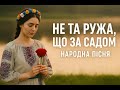 Не та ружа що за садом традиційна пісня в сучасній обробці Ukrainian Folk Song