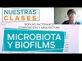 NUESTRAS CLASES | Microbiota y biofilms