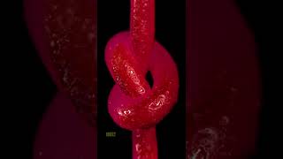 Melting A Thin Jelly Worm | Close-Up