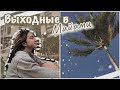 vlog 35| Выходные в Майами