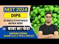 🚀NEET 2024 |NCERT Biology by Dr. Hariom Gangwar |बाबा का फंडा | STARCH SYNTHESIS IN PEA SEED