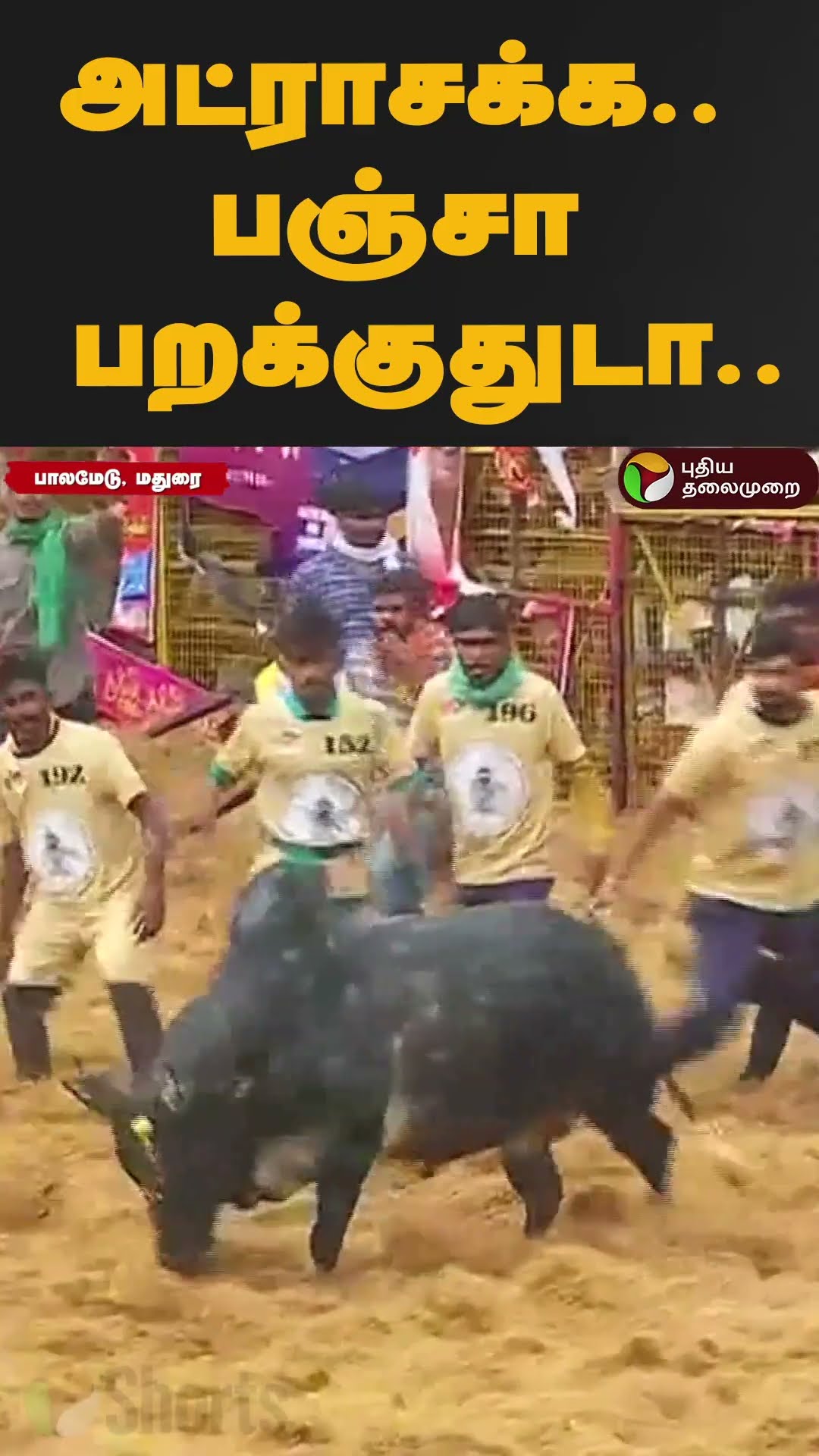 இதுதாண்டா ஜல்லிக்கட்டு ஆட்டம்.. வீரர்களை வீசிறியடித்த காளை.. #shorts #palamedujallikattu