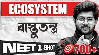ECOSYSTEM : ONE SHOT