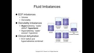 Fundamentals of Nursing Practice- Fluid, electrolytes and acid base balance