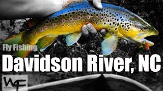 W4F - Fly Fishing "Davidson River NC"