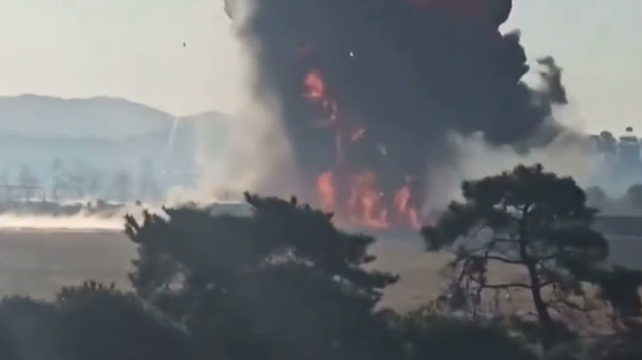Jeju Air Boeing 737 Crash Most of 181 people onboard feared dead in South Korea's Muan