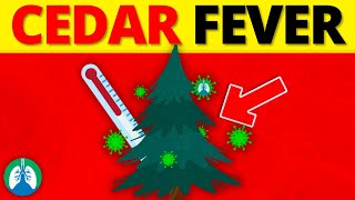 Cedar Fever | What is is?