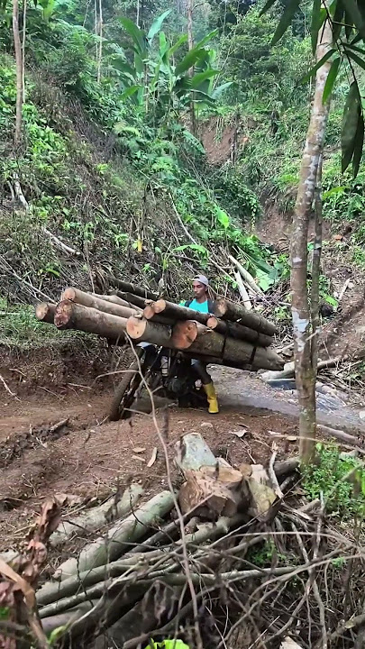 ojek kayu jengat tipis-tipis 😱