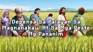 Depensa Sa Palayan Sa Magnanakaw At Sa Mga Peste Ng Pananim