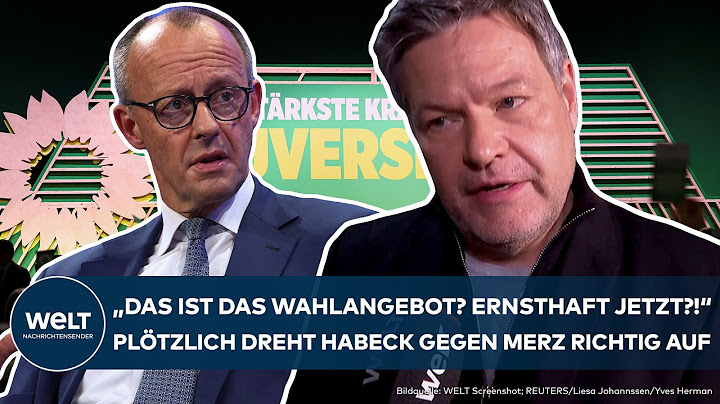 ASCHAFFENBURG: Merz plans? “Opposite of a solution” - Robert Habeck in an exclusive WELT interview