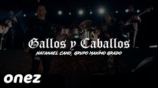 GALLOS Y CABALLOS (LETRA) NATANAEL CANO, GRUPO MAXIMO GRADO (CORRIDOS ESTRENO 2025)