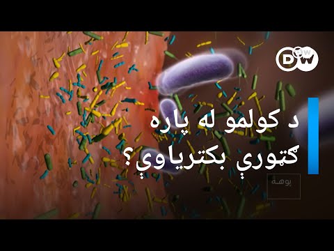 د کولمو له پاره ګټورې بکتریاوې؟