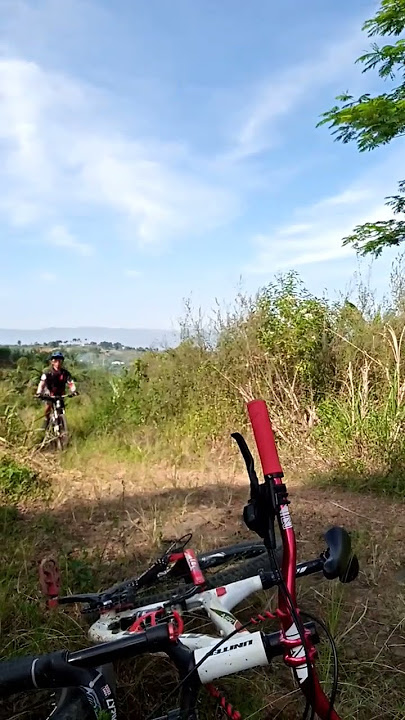 Gowes terus