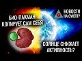 Спад активности Солнца, Самокопирующиеся биороботы, Искусственные эмбрионы. Новости QWERTY 196