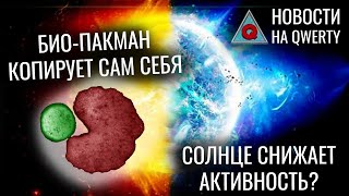 Спад активности Солнца, Самокопирующиеся биороботы, Искусственные эмбрионы. Новости QWERTY 196