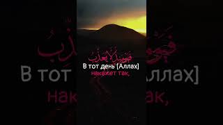 Сура:《Аль-Фаджр》Аят:23-30,Чтец:Умар Хафиз #коран #quran #umar #fajr #shortvideo #shorts