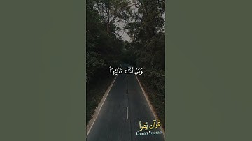 من عمل صالحا فلنفسه #سورة_فصلت #القرآن_الكريم #ياسر_الدوسري #اكسبلور #راحة_نفسية #لايك #تلاوة_خاشعة