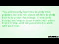Michael Ellis' Philosophy of Dog Training Michael Ellis' Philosophy of Dog Training