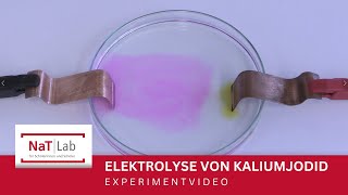 Elektrolyse einer Kaliumjodidlösung - Experiment für den Unterricht Chemie