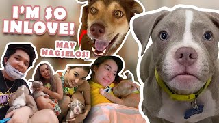 I'M SO HAPPY AND INLOVE (PUPPY LOVE PART 2) | JELAI ANDRES