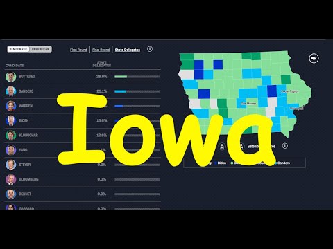 1.1%-for-andrew-yang-in-iowa-caucus-@-62%-of-votes-seems-incredibly-fishy