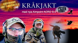 Kråkjakt med nya Aimpoint Acro S2