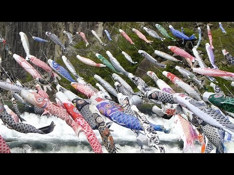 こいのぼり　材木岩公園　KOINOBORI