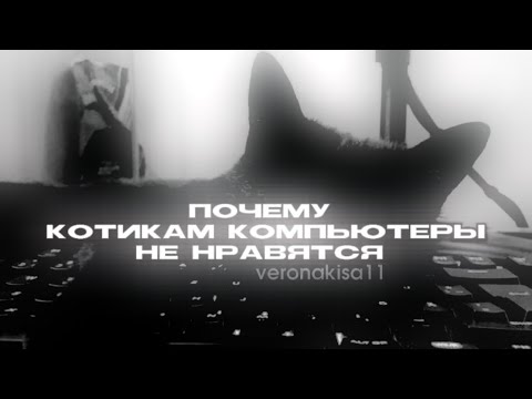 Почему котикам компьютеры не нравятся - nyan.mp3 (в стиле нолика, фулл версия) veronakisa11