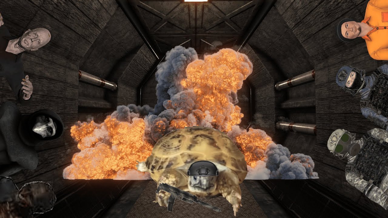 Turtle Shell Scp TORTOISE BREACH (scp sl funny moments) - YouTube