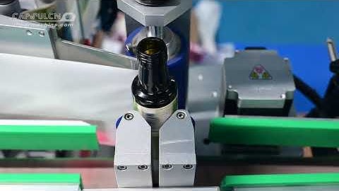 Automatic Positioning Vertical Circular Labeling Machine NCT-21200