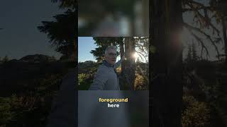 Lichen Magic Forest Discovery Captures Natures Brightest Secrets