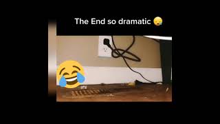 Dramatic mouse 🐭🐀 😂😂😂😂😂