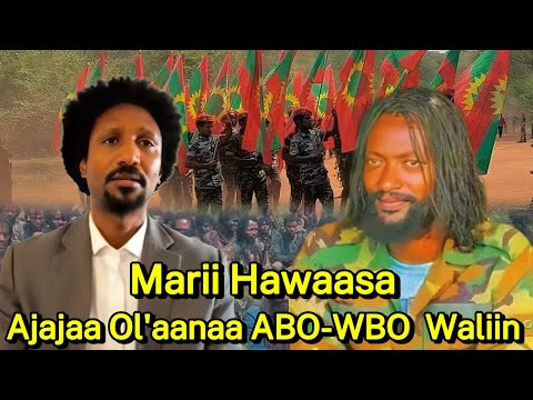Marii Hawaasa Oromoo Ajajaa Ol Aanaa ABO WBO Jaal Marroo Dirribaa Fi Jaal Jireenyaa 25 November 2025