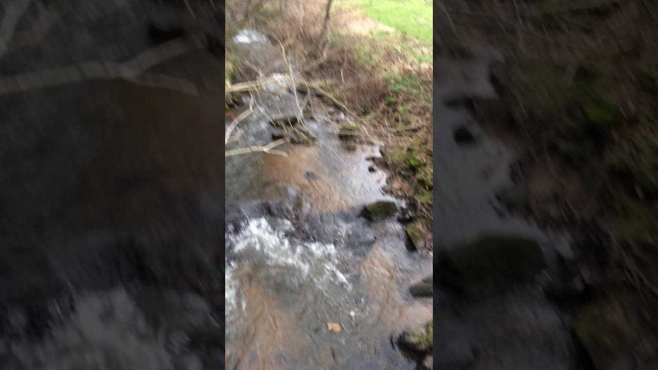 Ein Goldfisch Fällt Ins Wasser Youtube