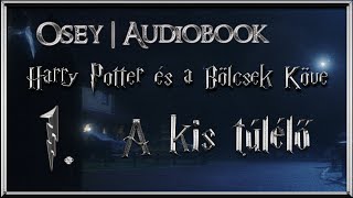 Harry Potter és a Bölcsek Köve hangoskönyv | 1. fejezet