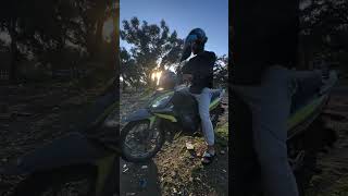 bird life 🕊️🥶👀 #shorts #shortvideo #cockatiel #vlog #subscribe