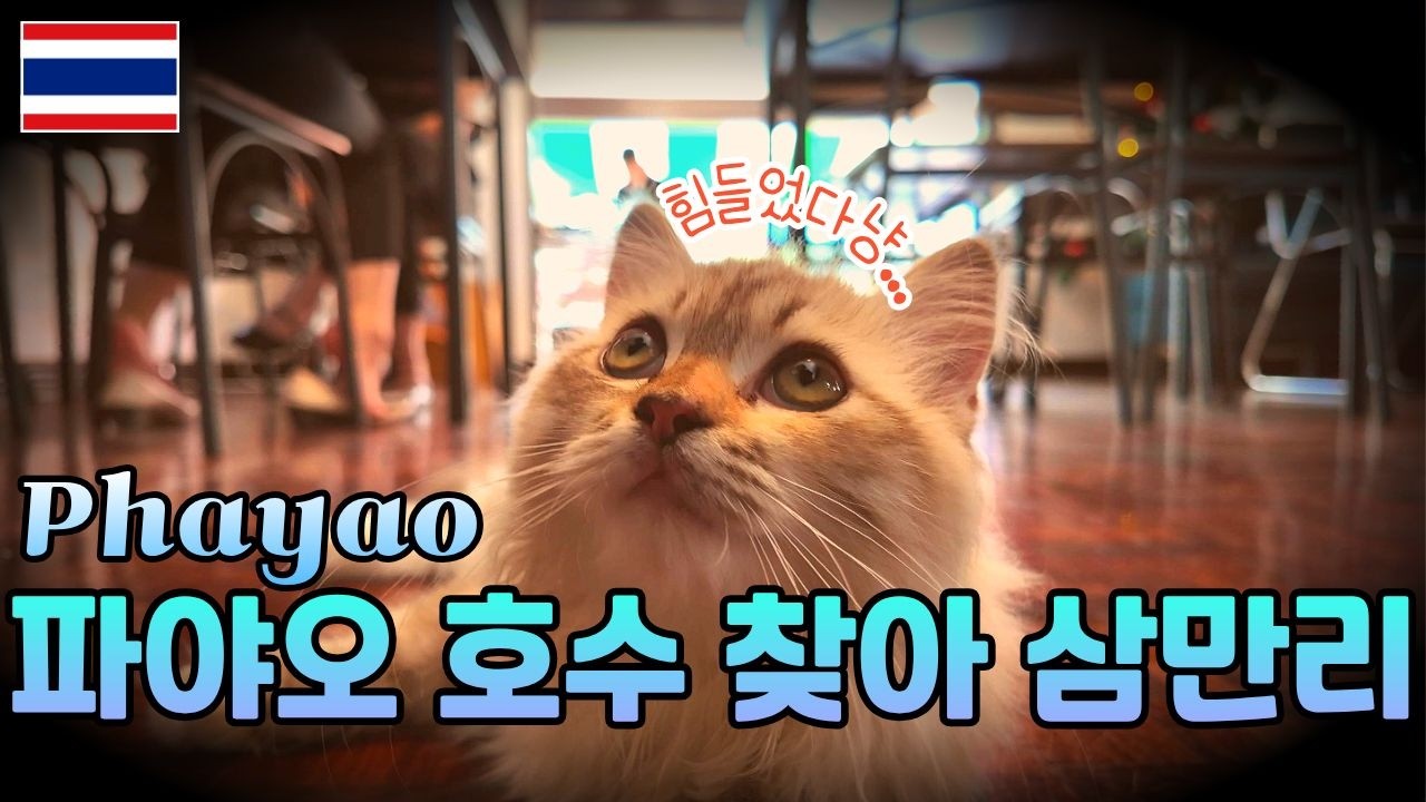 여행지에서 구글맵과 그랩을 맹신하면 벌어지는 일 | 🇹🇭 태국 파야오 혼자여행 | 파야오 호수