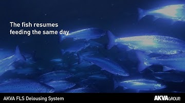 AKVA FLS Delousing