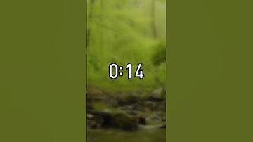 45 Seconds Timer with Nature Sounds - Countdown Timer